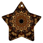 3d Flower Fractal Art Pattern Ornament (Star)
