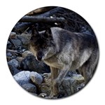 Vision Quest Grey Wolf Round Mousepad