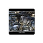 Vision Quest Grey Wolf Magnet (Square)