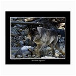 Vision Quest Grey Wolf Glasses Cloth