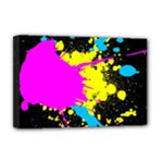 Splatter Deluxe Canvas 18  x 12  (Stretched)