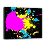 Splatter Deluxe Canvas 20  x 16  (Stretched)