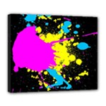 Splatter Deluxe Canvas 24  x 20  (Stretched)