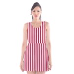 Vertical Stripes - White and Cardinal Red Scoop Neck Skater Dress