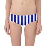 Vertical Stripes - White and Dark Blue Classic Bikini Bottoms