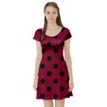 Polka Dots - Black on Burgundy Red Short Sleeve Skater Dress