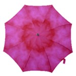 Pink Clouds Hook Handle Umbrella (Large)