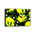 black lemons Mini Canvas 6  x 4  (Stretched)