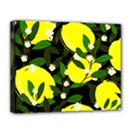 black lemons Deluxe Canvas 20  x 16  (Stretched)