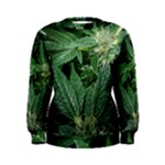 Weed Plants c Women s Sweatshirt
