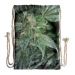 Weed Plants d Drawstring Bag (Large)