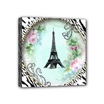 Eiffel Tower Pink Roses Circle For Zazzle Fini Zebra Bkgrnd Mini Canvas 4  x 4  (Stretched)