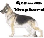 GERMAN SHEPHERD