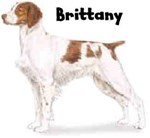 BRITTANY