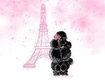 Black Poodle Eiffel Tower Pink