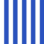 Vertical Stripes - White and Cerulean Blue