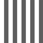Vertical Stripes - White and Dark Gray