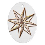 Star Ornament (Oval)