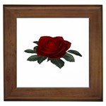 Red Rose Framed Tile