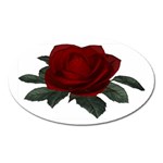 Red Rose Magnet (Oval)