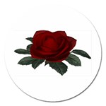 Red Rose Magnet 5  (Round)