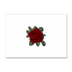 Red Rose 2 Sticker A4 (10 pack)