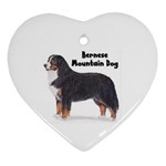 Bernese Mountain Dog Ornament (Heart)