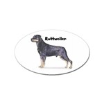 Rottweiler Sticker (Oval)