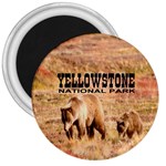 Yellowstone National Park Grizzly Bears 3  Magnet