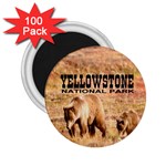 Yellowstone National Park Grizzly Bears 2.25  Magnet (100 pack) 