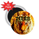 Tiger Country 2.25  Magnet (10 pack)