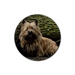 Cairn Terrier Rubber Round Coaster (4 pack)