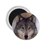 Wolf 2.25  Magnet