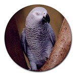 African Grey Parrot Round Mousepad
