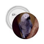 African Grey Parrot 2.25  Button