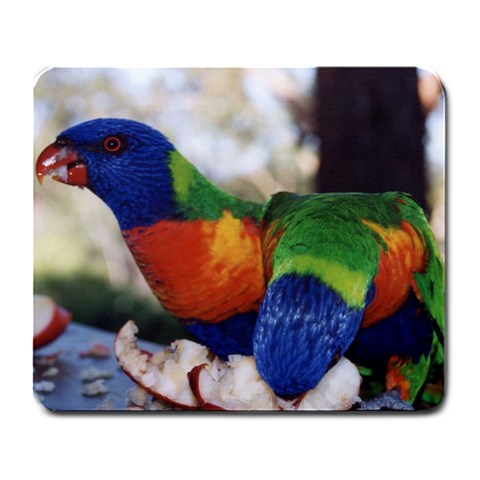 parrots Large Mousepad from ArtsNow.com Front
