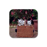 West Highland white terriers Rubber Square Coaster (4 pack)
