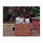West Highland white terriers Glasses Cloth