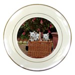 West Highland white terriers Porcelain Plate