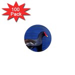 Common Moorhen  1  Mini Magnet (100 pack) 