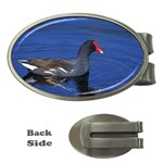 Common Moorhen  Money Clip (Oval)