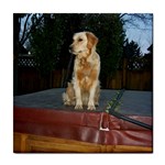 dogs 002 800 x 800 Tile Coaster