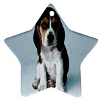 Basset hound puppy Ornament (Star)