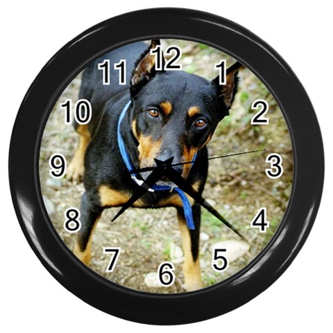 doberman pinscher Wall Clock (Black) from ArtsNow.com Front