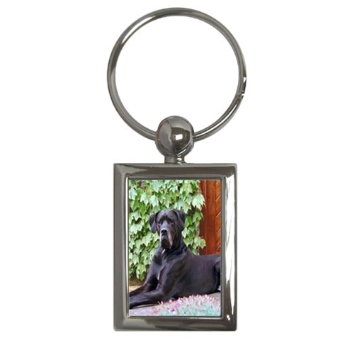 Great Dane Key Chain (Rectangle) from ArtsNow.com Front