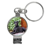 Great Dane Nail Clippers Key Chain