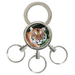 tiger 3-Ring Key Chain