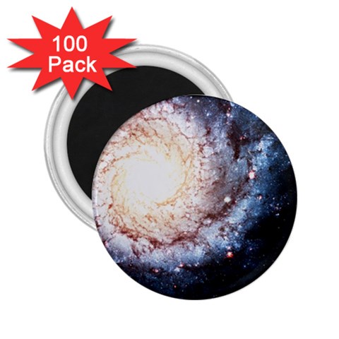 Colorful Cosmos 2.25  Magnet (100 pack)  from ArtsNow.com Front