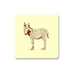 Donkey foal Magnet (Square)