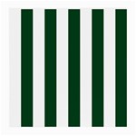 Vertical Stripes - White and Forest Green Medium Glasses Cloth